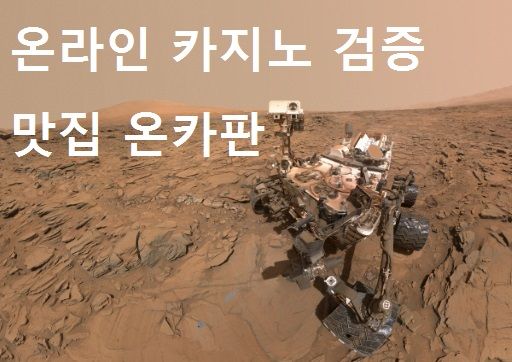 온라인 카지노